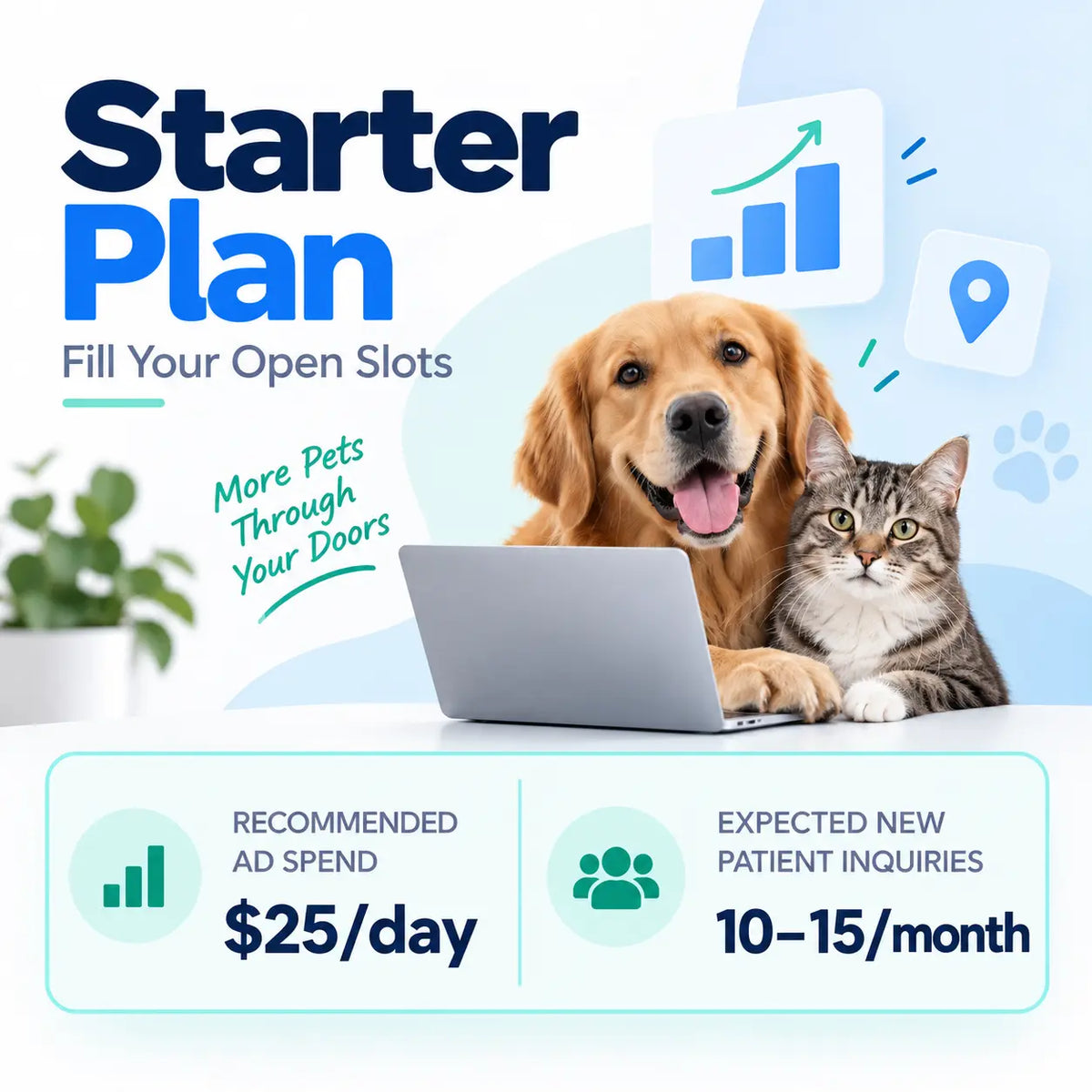 Starter Plan
