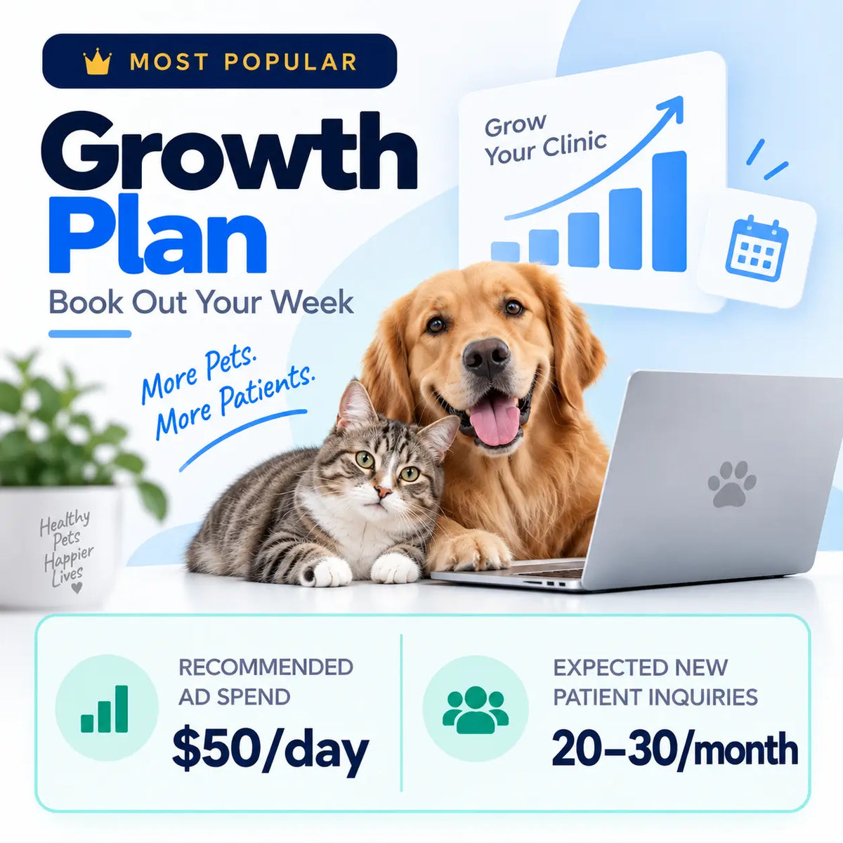 Growth Plan